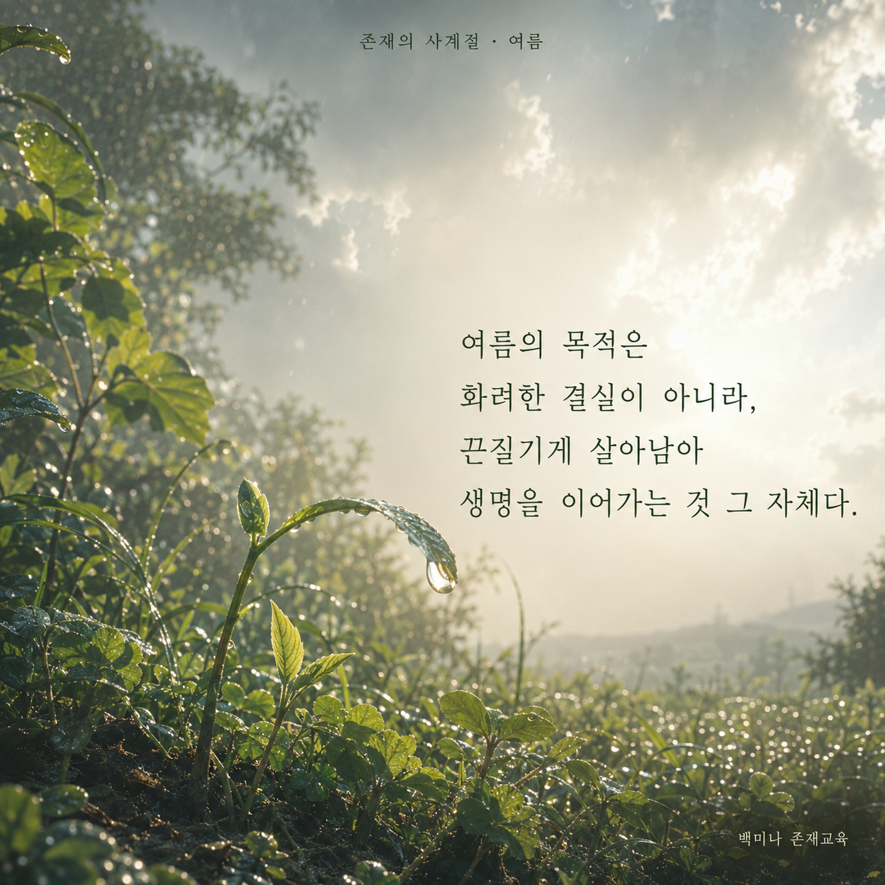 존재의 사계절 여름 문장 이미지. 비에 젖은 푸른 새싹 장면에 ‘여름의 목적은 화려한 결실이 아니라 끈질기게 살아남아 생명을 이어가는 것 그 자체다.’라고 적혀 있다.