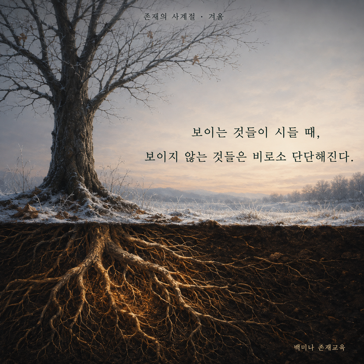 존재의 사계절 겨울 문장 이미지. 눈 덮인 나무와 땅속 뿌리 장면에 ‘보이는 것들이 시들 때, 보이지 않는 것들은 비로소 단단해진다.’라고 적혀 있다.