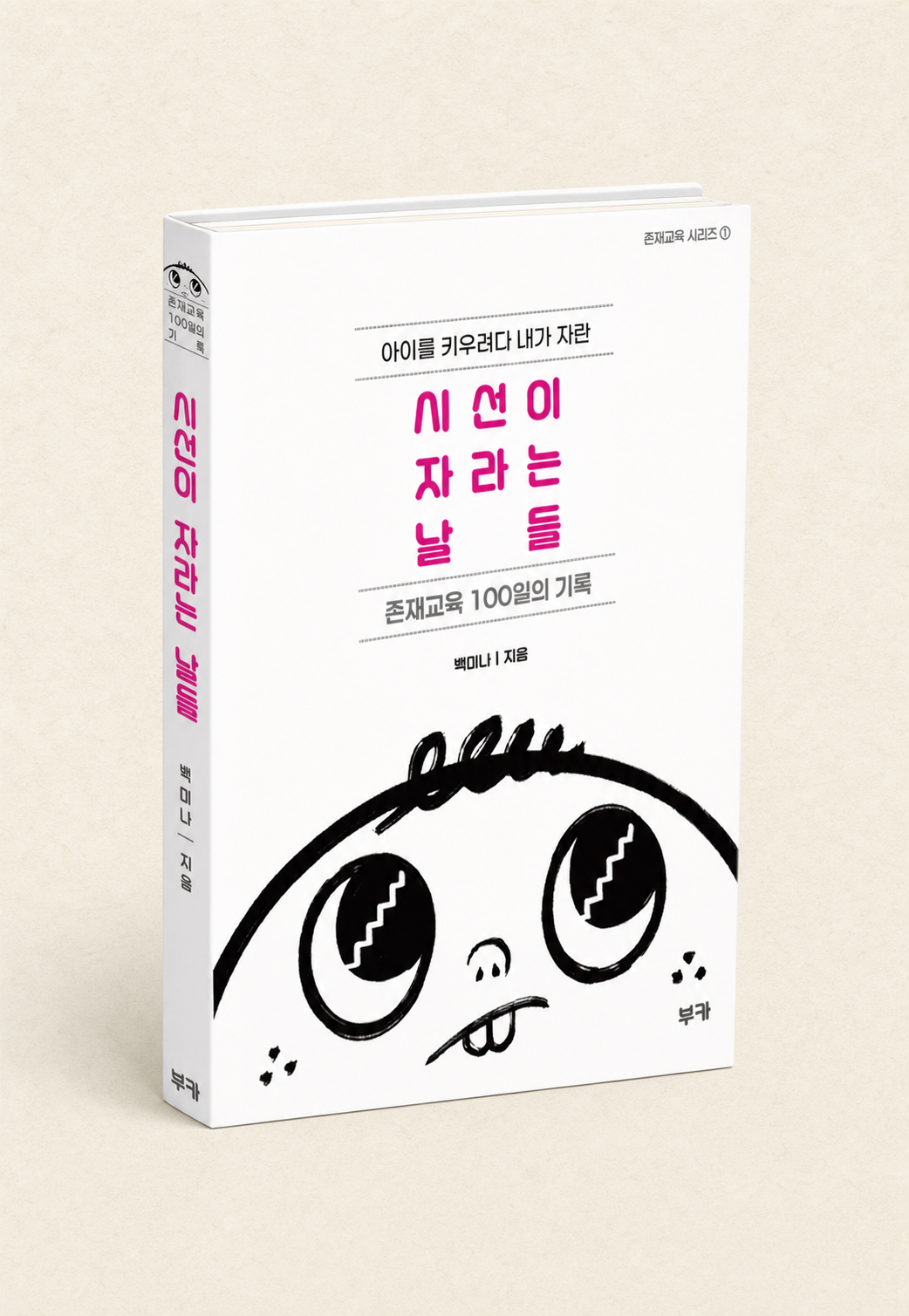 시선이 자라는 날들 표지